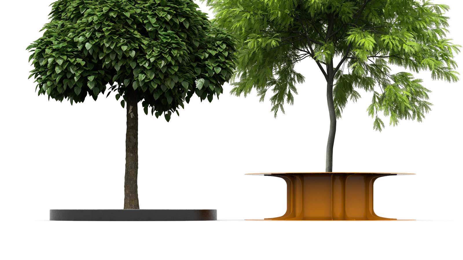 protector-arbol-ombu-tamanos.jpg