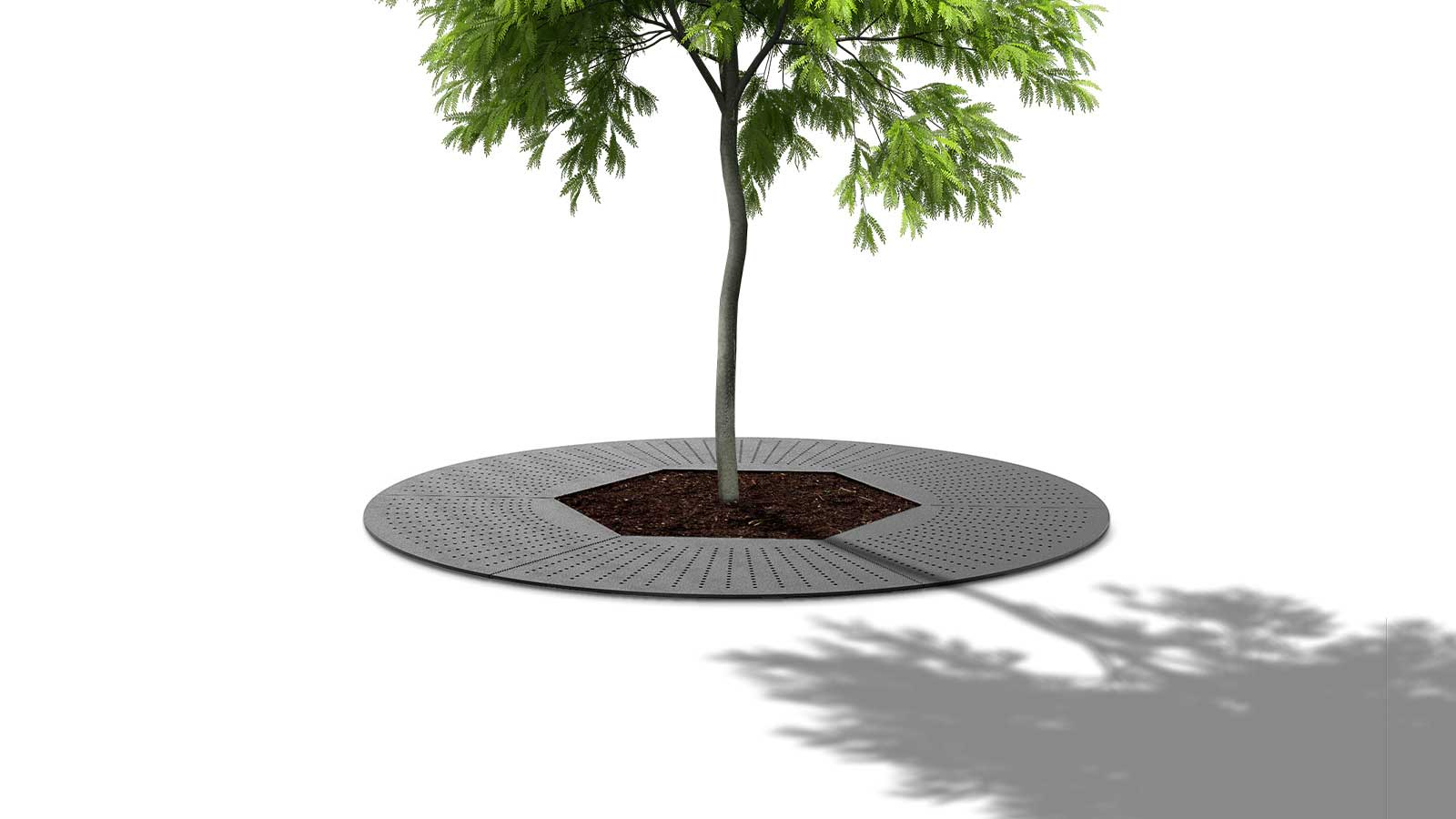 protector-arbol-ombu-via-publica.jpg