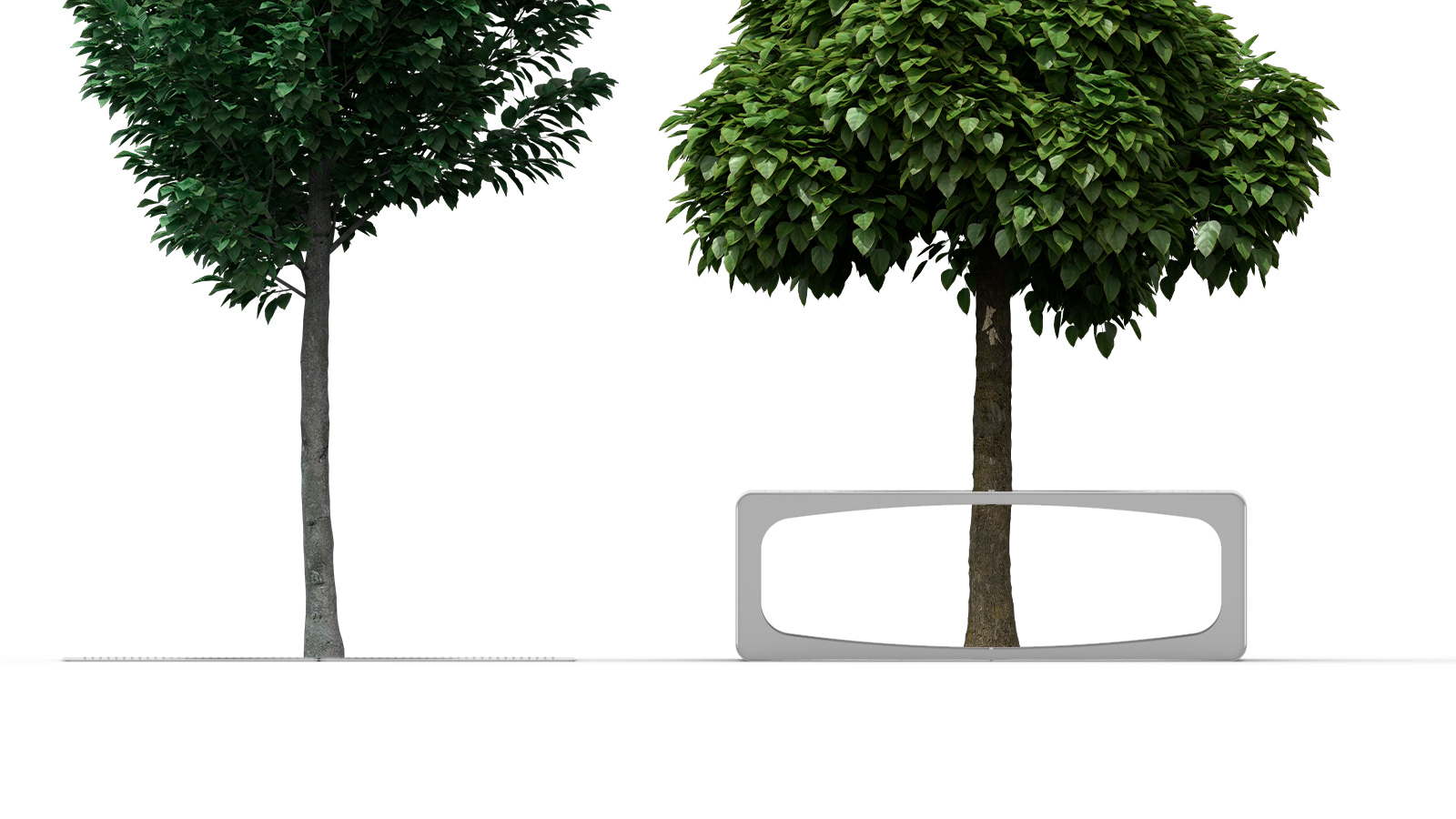 protector-arbol-pindo-tamanos-variantes.jpg