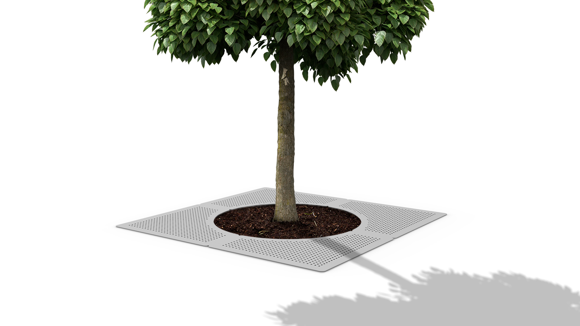 protector-arbol-pindo-vereda.jpg
